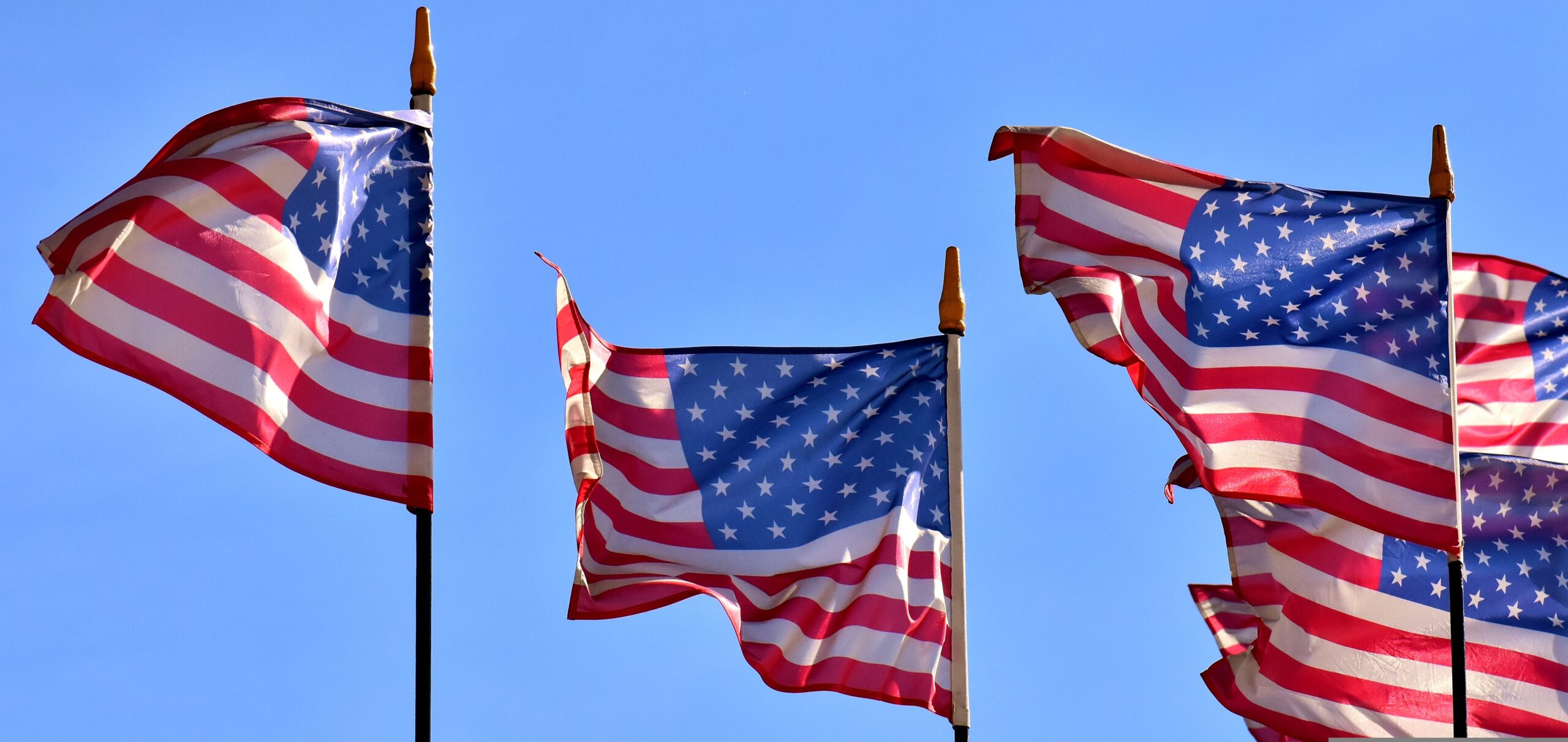 A group of American flags flying